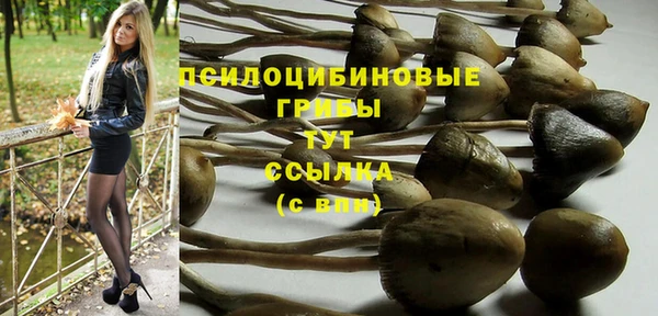 дурь Абинск
