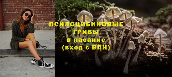 дурь Абинск