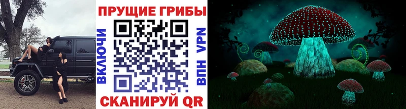 omg tor  Монино  Галлюциногенные грибы прущие грибы 