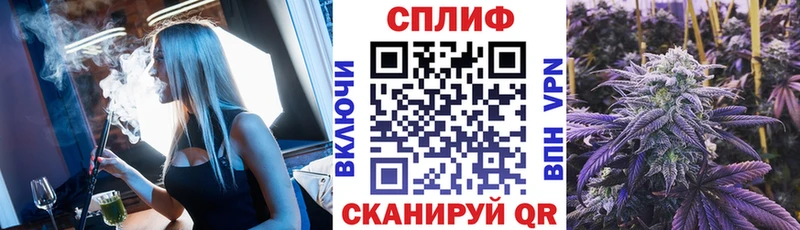 Каннабис MAZAR  Монино 